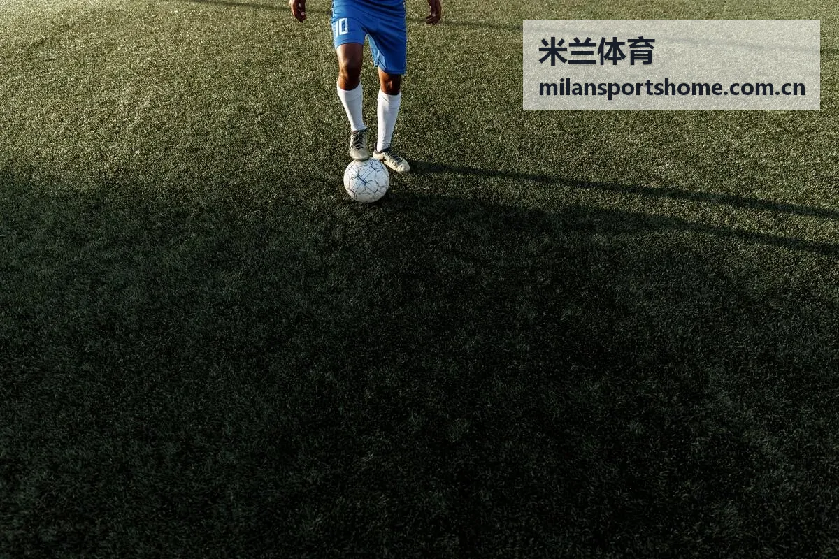 米兰体育综合服务平台视觉图